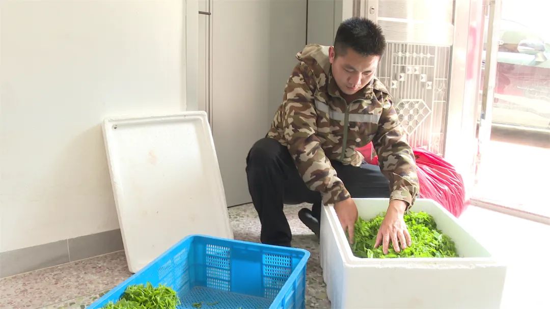文章配图