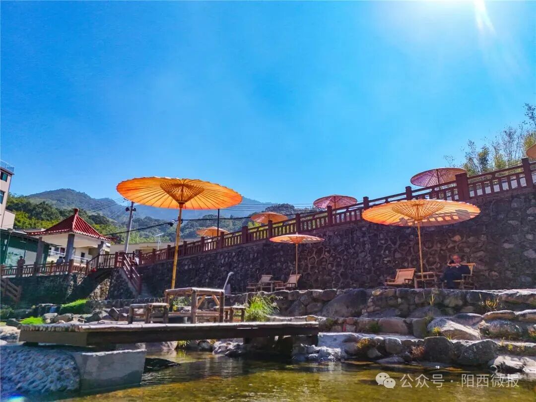 在山里玩水赏石住竹林美宿听风……新墟镇东水竹里旅居项目农文旅新业态很“吸睛”(图2)