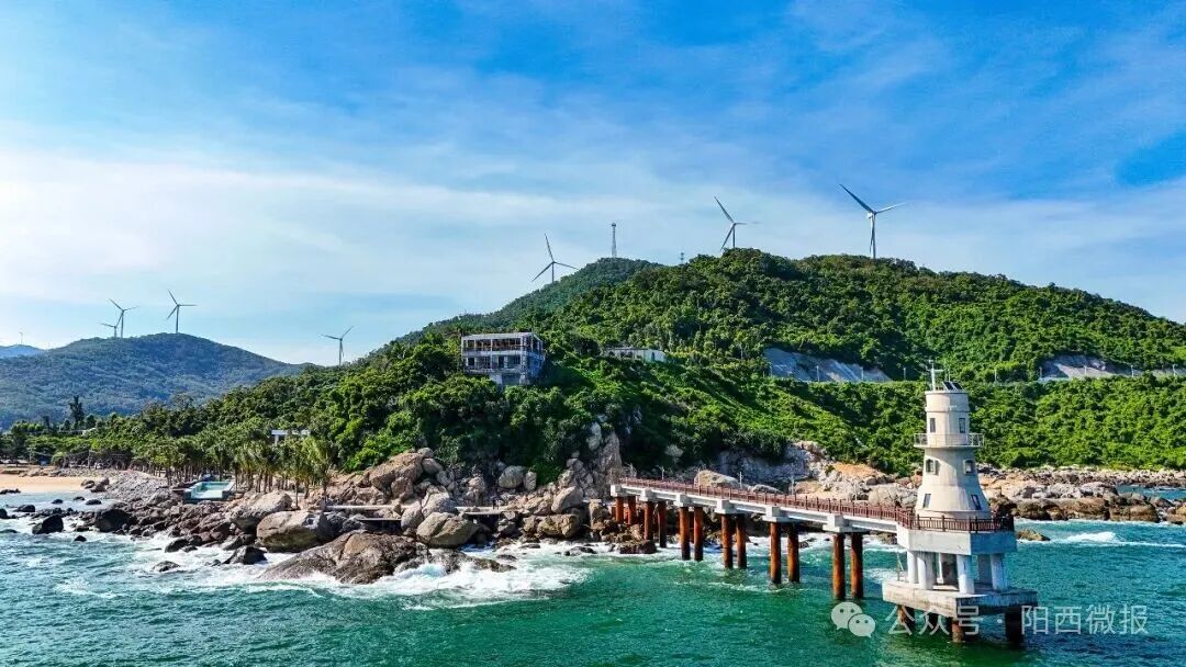 余金富到阳西县调研