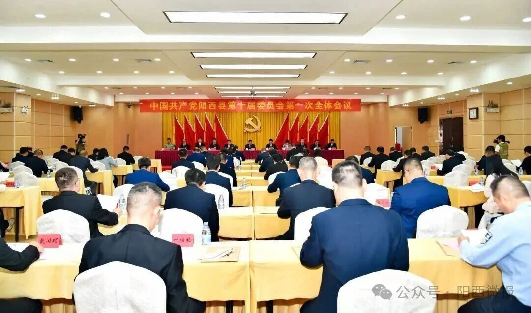 新一届阳西县委领导班子选举产生 黄智斌当选县委书记