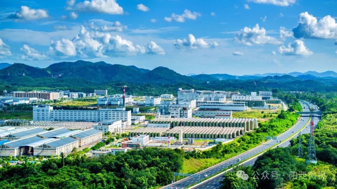 【五年蝶变】做优做强健康食品产业集群 打造阳西县域经济发展强劲引擎