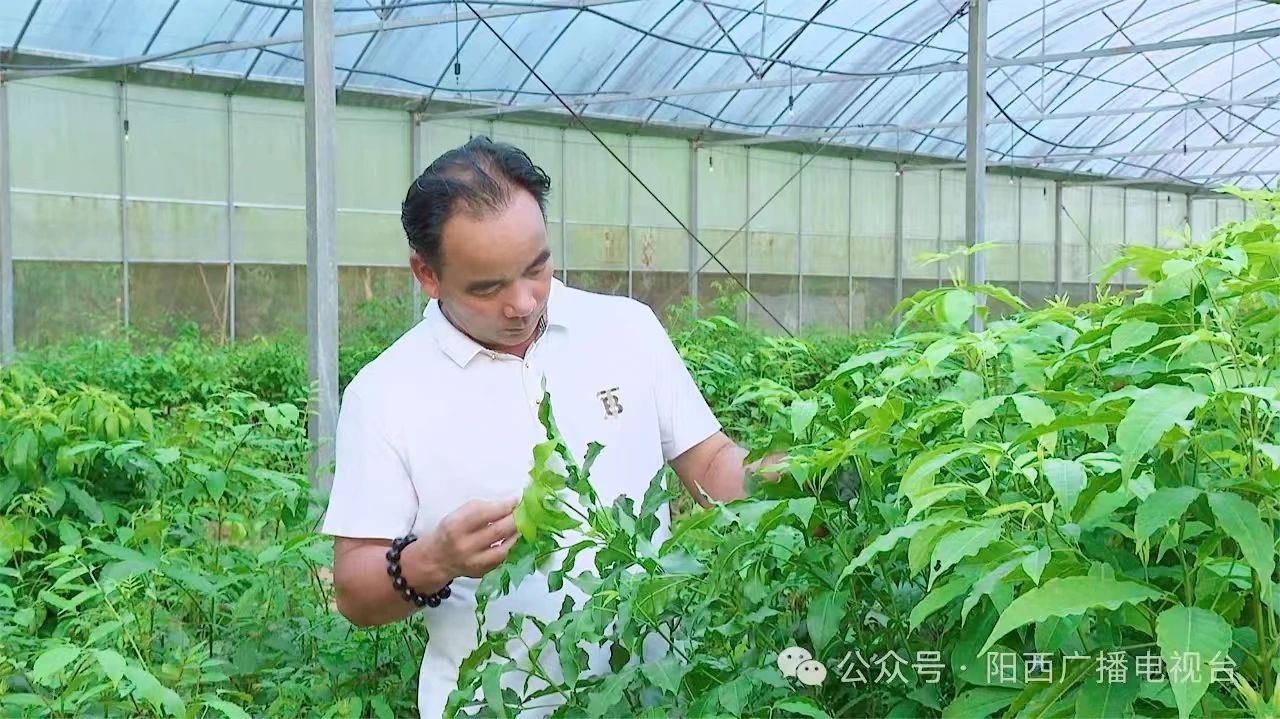 微信图片5.jpg